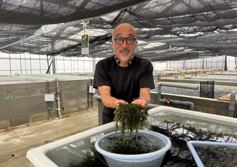 Interview #06 Awesome Sea合同会社 代表社員 三上 拓也さん